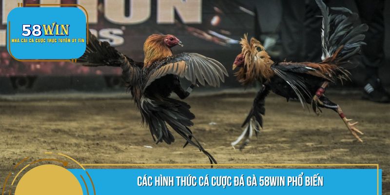 Cá cược linh hoạt - chơi là thắng