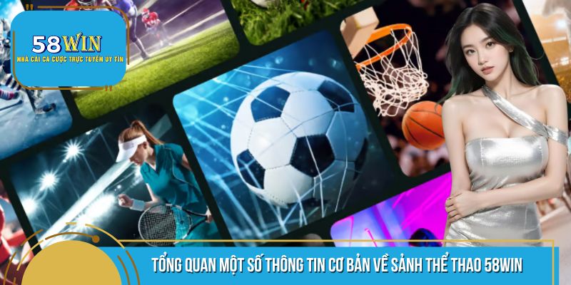 Một vài thông cơ bản về sảnh cược thể thao 58WIN