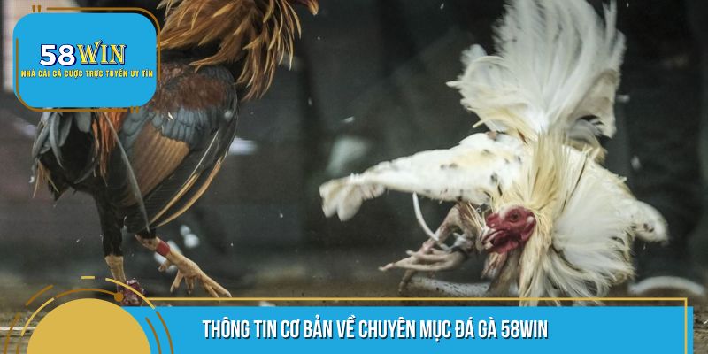 Những điều bạn cần biết